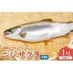 魚貝類 ニジサクラ1尾 1kg以上