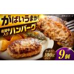 厳選素材の佐賀牛入り合挽ハンバーグ 計900g