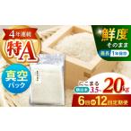 真空 精白米 にこまる 10kg