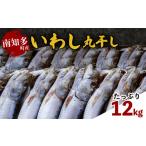 干物 イワシ いわし丸干し 約12kg