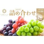 ぶどう マスカット 八天堂ぶどう園 おまかせ詰め合わせ 1kg
