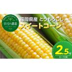とうもろこし 産とうもろこし 2.5kg