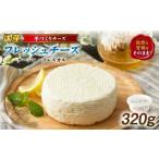 加工品等 チーズ みずみずしいフレッシュチーズ