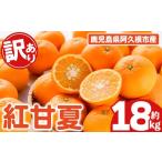 みかん 柑橘類 受付中 予定 訳あり 紅甘夏 約18kg