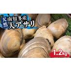 旬の鮮魚等 日間賀島産 大アサリ 1.2kg