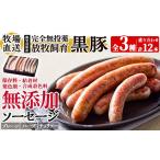 肉 ソーセージ a1111 保存料 発色剤 結着材