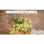 花 苗木 花束 ホップドライフラワー 10本
