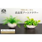 花 観葉植物 エミリオ ロバ アジアンタム ポトス