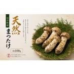 野菜類 きのこ チョイス 天然松茸 100g