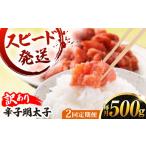 魚貝類 明太子 全2回 定期便 訳あり 辛子明太子 500g
