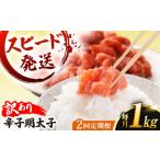 魚貝類 明太子 全2回 定期便 訳あり 辛子明太子 1kg