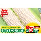 とうもろこし 2027年6月下旬~発送