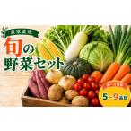 セット 詰合せ 野菜セット 旬 野菜 詰め合わせ