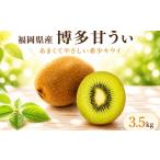 果物類 2026年10月下旬- 予定 博多甘うぃ 約3.5kg
