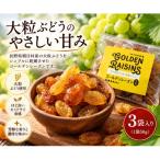 乾物 ゴールデンレーズン 黄華 3袋