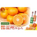 果物類 みかん 2026年 ご 訳アリ 紀州有田産