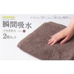 タオル 寝具 バスタオル 2枚セット ブラウン