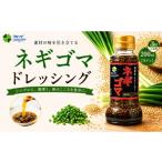 調味料 油 ドレッシング 定期3回 生ドレ ネギゴマドレッシ…