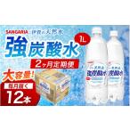 炭酸飲料 ソーダ水 2ヶ月定期便 サンガリア