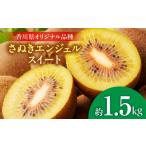 果物類 先行受付 さぬきエンジェルスイートキウイ 約1.5kg