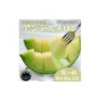 メロン 先行受付 令和9年 山一ファーム アンデスメロン