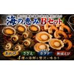 魚貝類 ホタテ 海の恵みBセット さざえ あわび