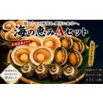 魚貝類 ホタテ 海の恵みAセット さざえ あわび