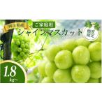 産シャインマスカット ご 1.8kg~ 糖度測定