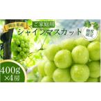 産シャインマスカット ご パック 400g×4房