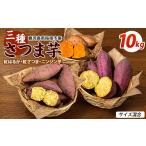 野菜類 サツマイモ 2026年10月上旬~