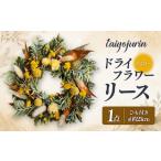 花 太陽樹林 ドライフラワーリース イエロー系