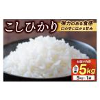 米 コシヒカリ 山 観光農園のお米 白米5kg