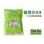 プロ仕様の無農薬 猫草のタネ 10袋