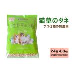 プロ仕様の無農薬 猫草のタネ 24袋