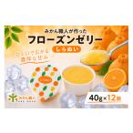 菓子 ゼリー みかん職人が作った フローズン