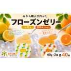 菓子 ゼリー みかん職人が作った フローズン