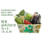 fu.... налог комплект *... Aomori префектура Tohoku блок овощи набор комплект ( весна, лето, осень ) 02408-0134