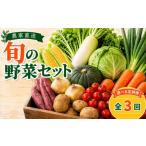 野菜類 野菜 定期便 野菜セット サブスク 旬
