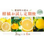 みかん 柑橘類 ゆず 定期便 4回 4ヶ月 レモン
