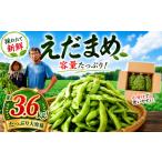 豆類 枝豆 えだまめ 3.6kg
