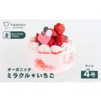 ケーキ カステラ むしやしない オーガニックミラクル*いちご