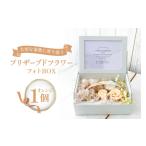 花 苗木 花束 仏花 プリザーブドフラワー オレンジ