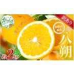 森本農園の手選別 はるか 約2kg