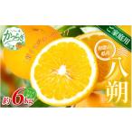 小粒みかん 約6kg