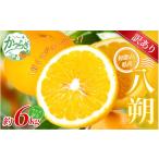 小粒みかん 約6kg