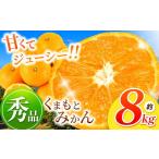 果物類 みかん 秀品 温州 約 8kg