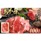 牛肉 焼肉 バーベキュー R8年熊本地震復興支援