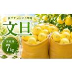 みかん 柑橘類 :2027年2月上旬~発送