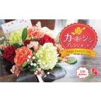 花 〈予約受付〉 2027年 母の日 カーネーション