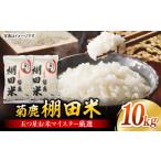 米 菊鹿 棚田米 10kg